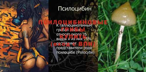 mdpv Бронницы