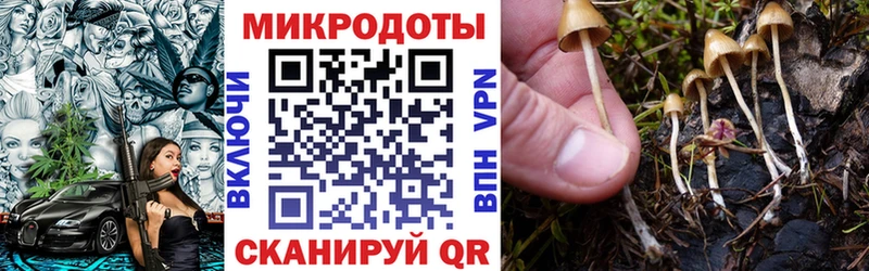 Псилоцибиновые грибы мухоморы  как найти   Мытищи 